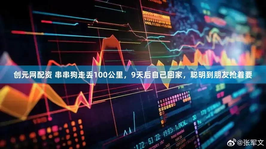 创元网配资 串串狗走丢100公里，9天后自己回家，聪明到朋友抢着要