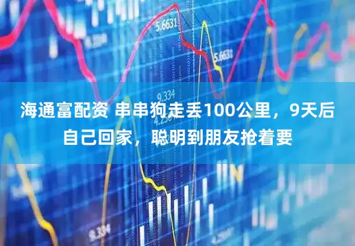 海通富配资 串串狗走丢100公里，9天后自己回家，聪明到朋友抢着要