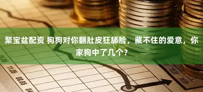 聚宝盆配资 狗狗对你翻肚皮狂舔脸，藏不住的爱意，你家狗中了几个？