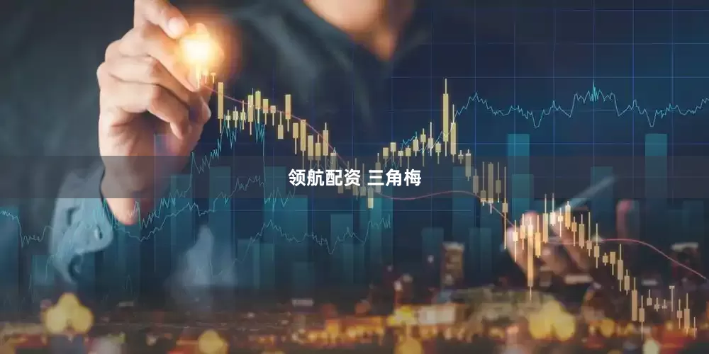 领航配资 三角梅