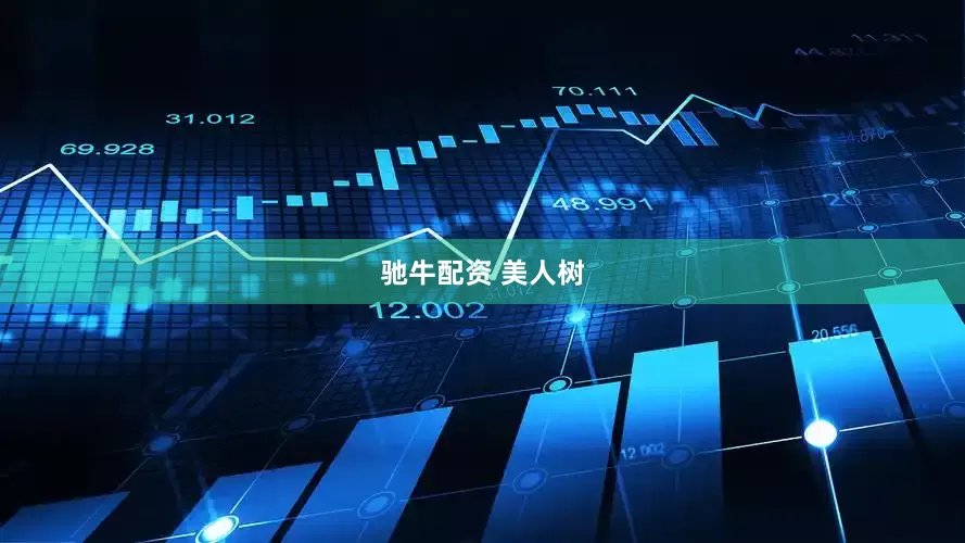 驰牛配资 美人树